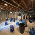 Astoria Mold removal & Water damage repair