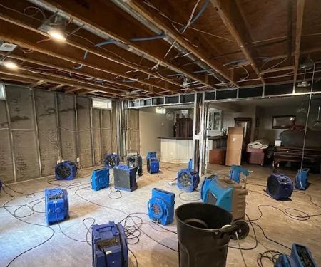 Astoria Mold removal & Water damage repair