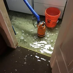 Pro Astoria Queens Picture 2