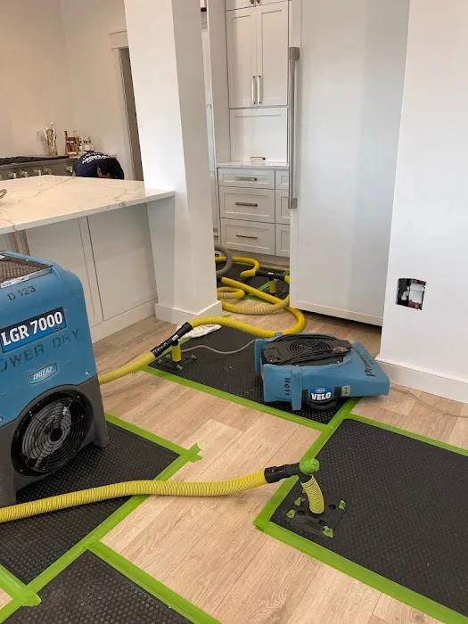 Northeast Power Dry - Water Damage Restoration Company Picture 4