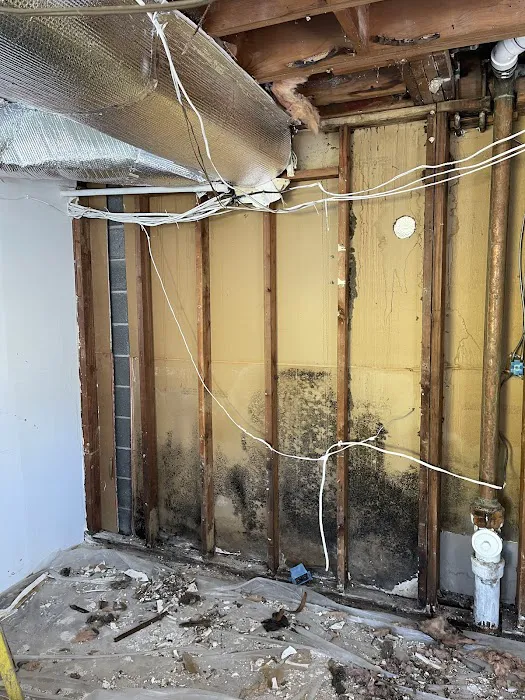 ServiceMaster by Replacements Picture 8