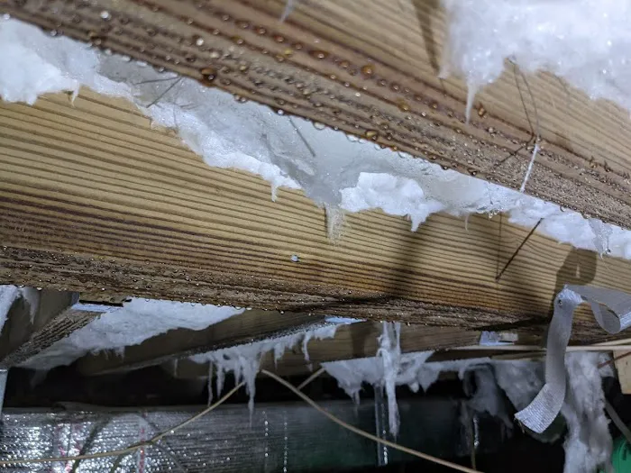 GreenWorks Environmental LLC Picture 9