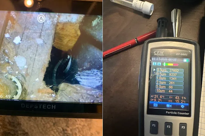 Nash Everett Picture 6