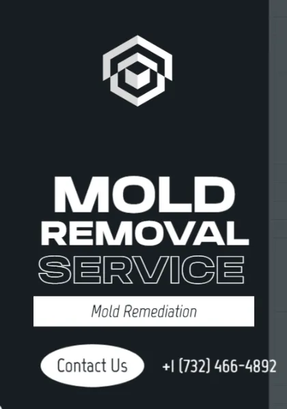GAGK Mold Removal & Mold Remediation Co, NJ Picture 1