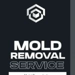 GAGK Mold Removal & Mold Remediation Co, NJ