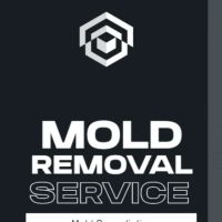 GAGK Mold Removal & Mold Remediation Co, NJ ico