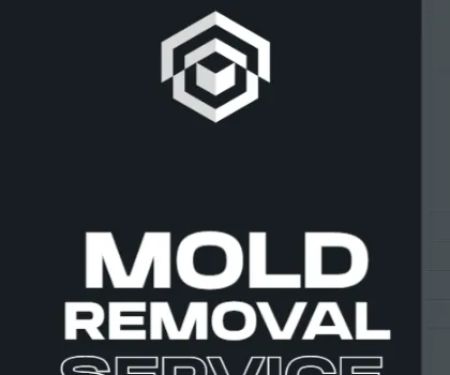 GAGK Mold Removal & Mold Remediation Co, NJ