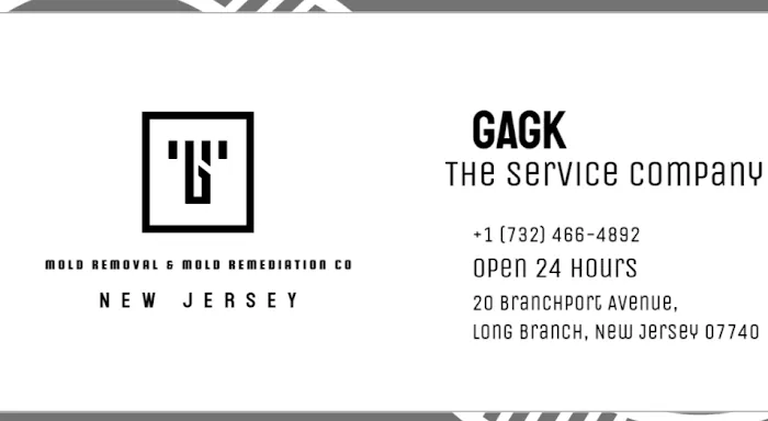 GAGK Mold Removal & Mold Remediation Co, NJ Picture 2