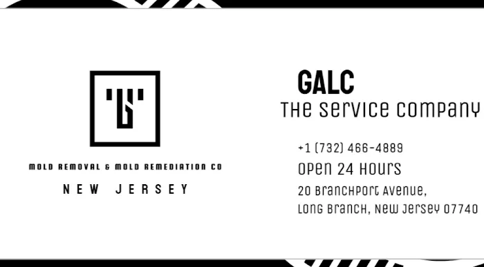 GALC Mold Removal & Mold Remediation Co, NJ Picture 2