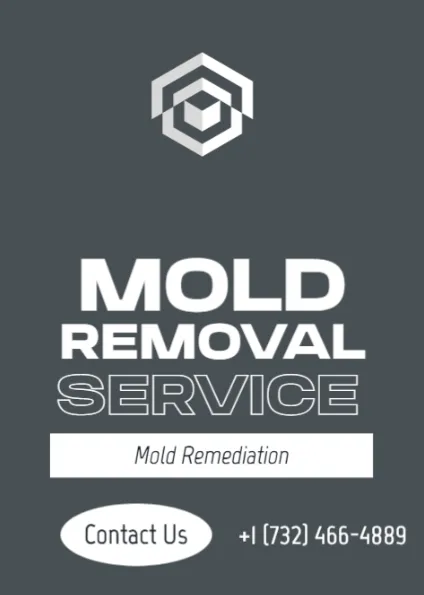 GALC Mold Removal & Mold Remediation Co, NJ Picture 1