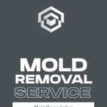 GALC Mold Removal & Mold Remediation Co, NJ