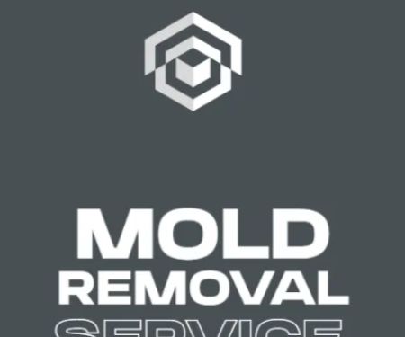 GALC Mold Removal & Mold Remediation Co, NJ