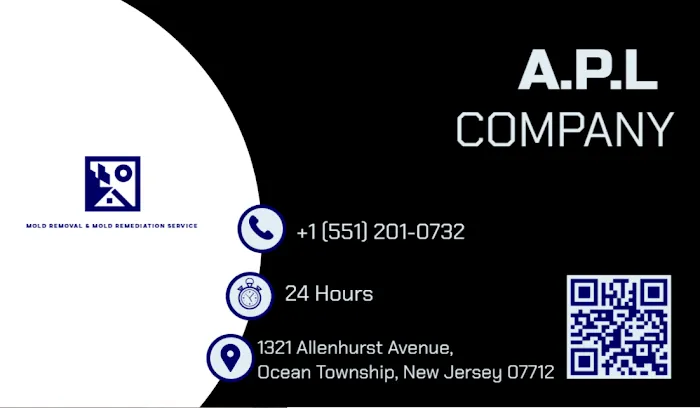 APL Mold Removal & Mold Remediation Service Mount Laurel Township, NJ Picture 1
