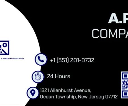 APL Mold Removal & Mold Remediation Service Mount Laurel Township, NJ