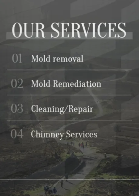 APL Mold Removal & Mold Remediation Service Mount Laurel Township, NJ Picture 2