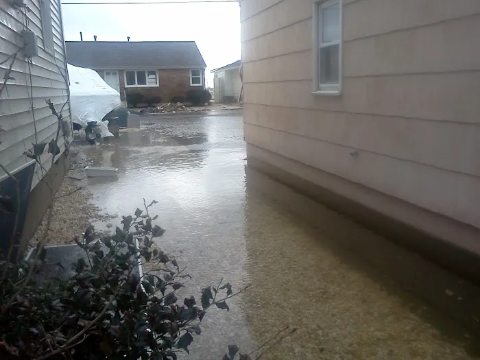 MMRG Mold Remediation & Basement Waterproofing Picture 3