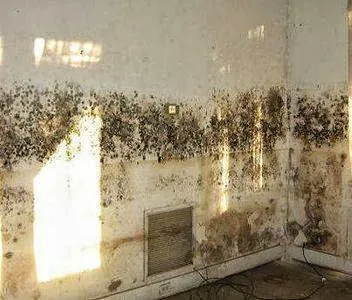 MMRG Mold Remediation & Basement Waterproofing Picture 9