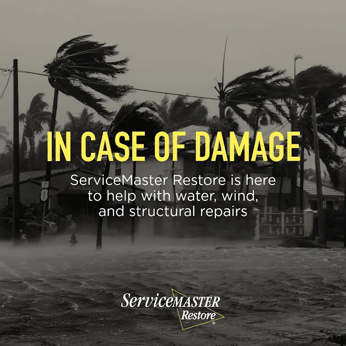 ServiceMaster of the Shore Area - Monmouth Area Picture 7