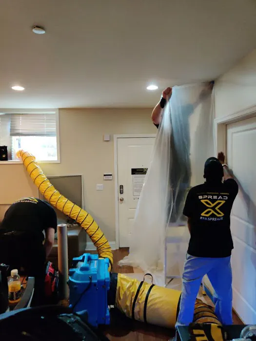 SpreadX Mold Specialists - Lakewood NJ Picture 3