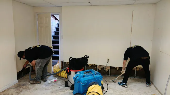 SpreadX Mold Specialists - Lakewood NJ Picture 6