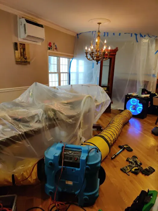 SpreadX Mold Specialists - Lakewood NJ Picture 4