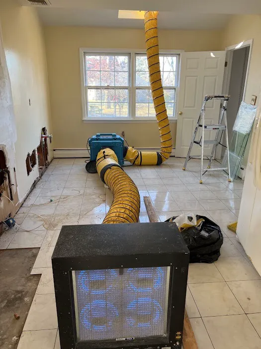 SpreadX Mold Specialists - Lakewood NJ Picture 8