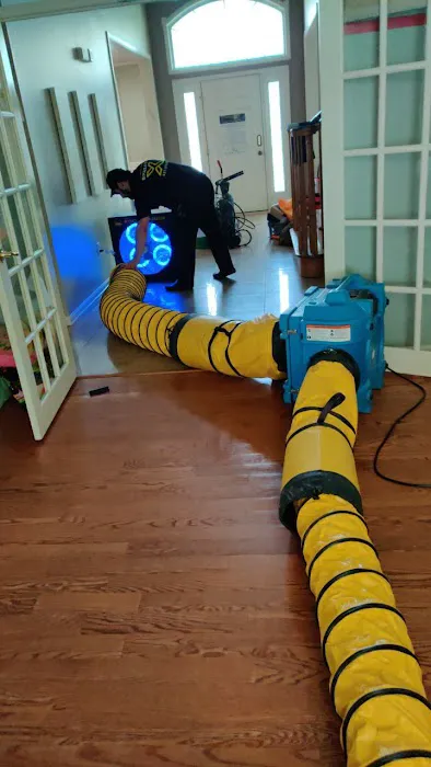 SpreadX Mold Specialists - Lakewood NJ Picture 1