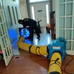 SpreadX Mold Specialists - Lakewood NJ