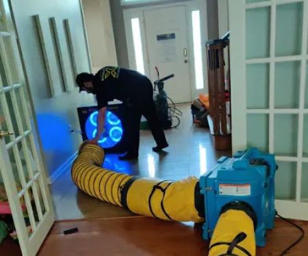 SpreadX Mold Specialists - Lakewood NJ