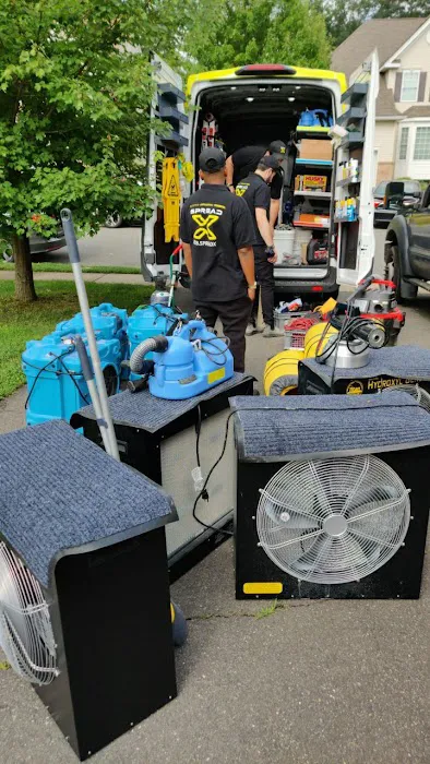 SpreadX Mold Specialists - Lakewood NJ Picture 7