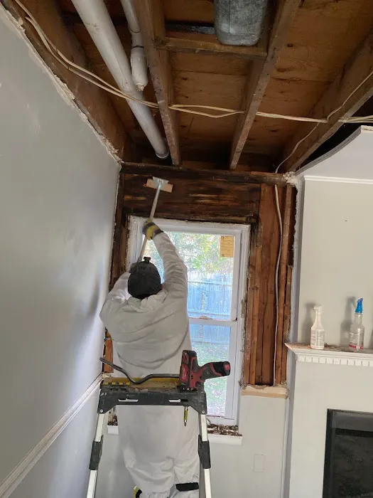 SpreadX Mold Specialists - Lakewood NJ Picture 9