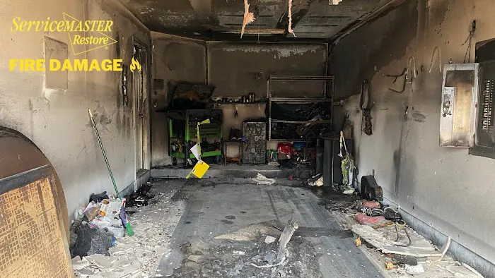 ServiceMaster of the Shore Area Picture 1