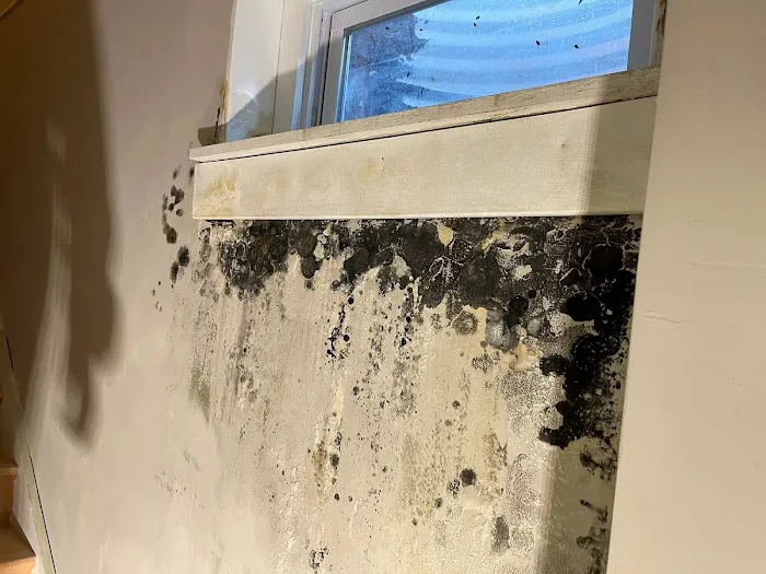 Affordable Remediation & Emergency Services Picture 3