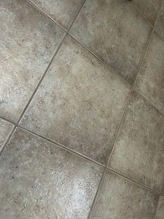 Stanley Steemer Picture 7