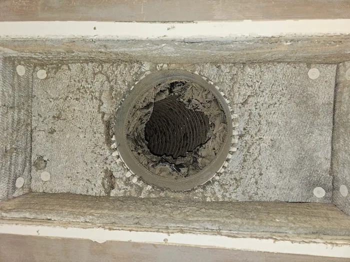 Stanley Steemer Picture 6