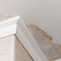 Connelly Water Damage Repair ico