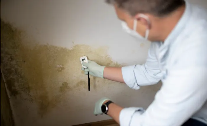 Connelly Water Damage Repair Picture 7