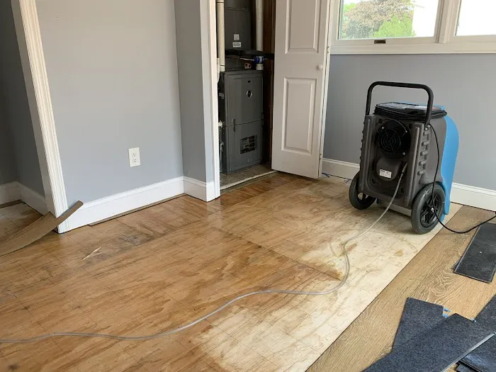 Atlantic Water Damage llc Picture 2