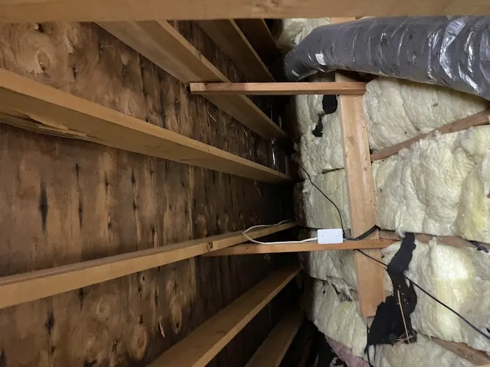 Atlantic Water Damage llc Picture 8