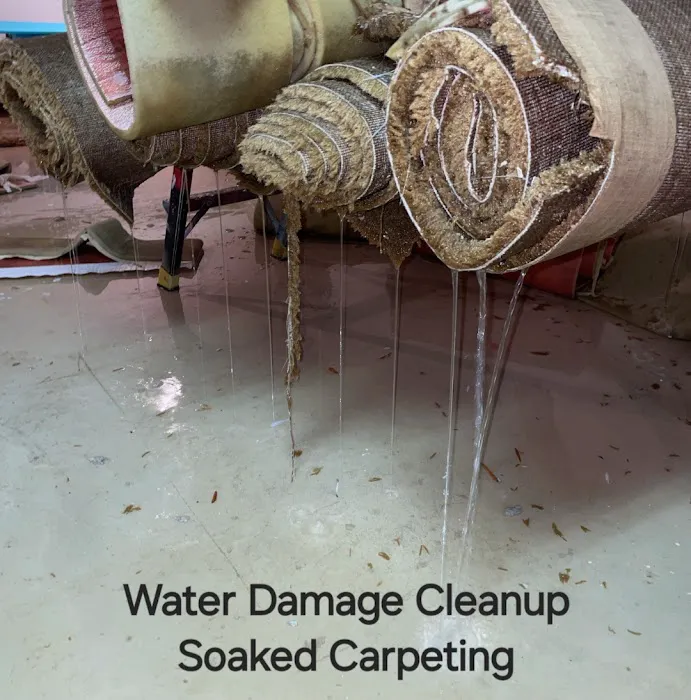 Safer Home Services LLC Picture 8