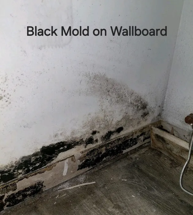 Safer Home Services LLC Picture 5