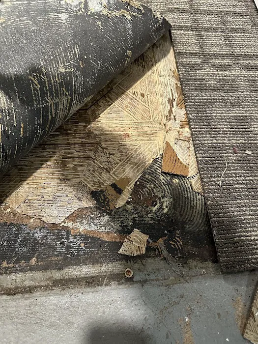 Restoration Partners Picture 7