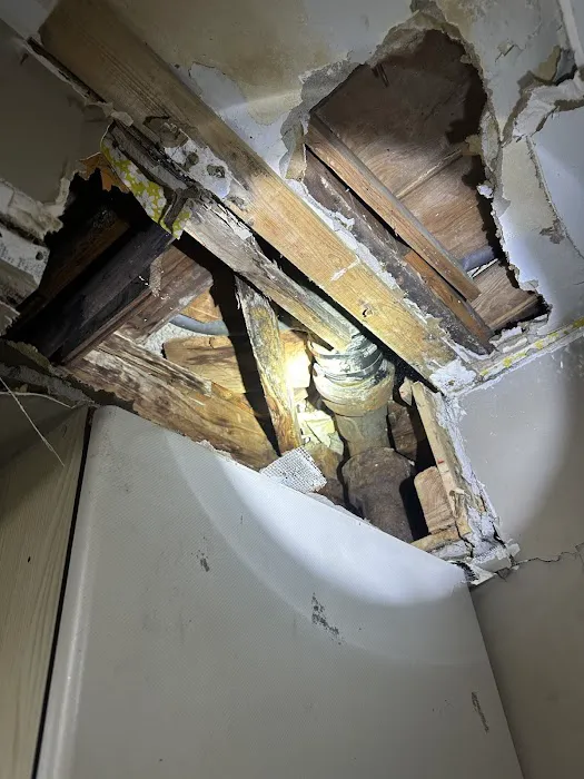 Restoration Partners Picture 5