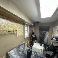 Restoration Partners ico