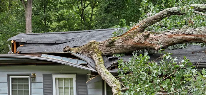 Restoration Partners Picture 8