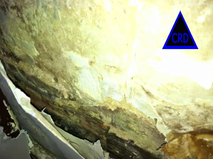 CRD: Mold Fire Water Picture 7