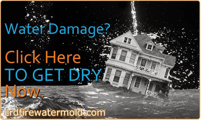 CRD: Mold Fire Water Picture 5