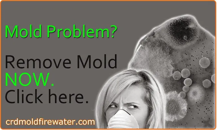 CRD: Mold Fire Water Picture 2