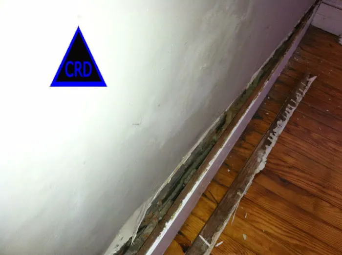 CRD: Mold Fire Water Picture 1