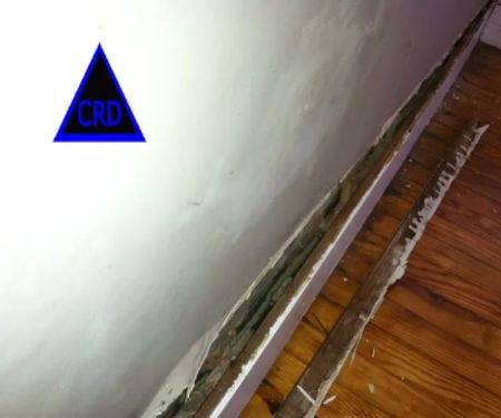 CRD: Mold Fire Water